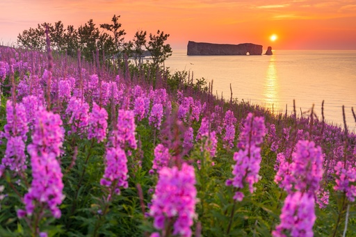 Autotour en Gaspésie